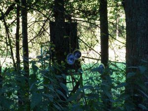 2012 Kunst im Wald (RPS) Augen-Blick